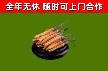 南召县烟酒回收冬虫夏草.jpg